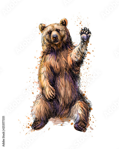 Friendly brown bear sitting and waving a paw from a splash of watercolor photo