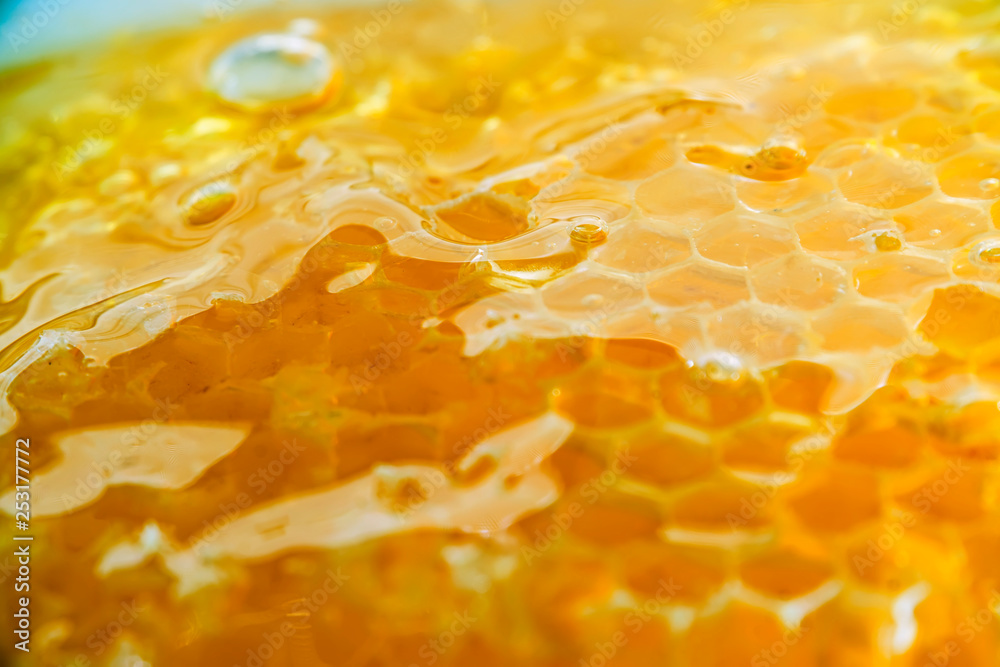 honey in honeycomb close-up background honey in honeycomb close-up background