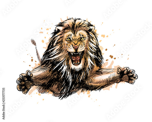 Portrait of a jumping lion from a splash of watercolor