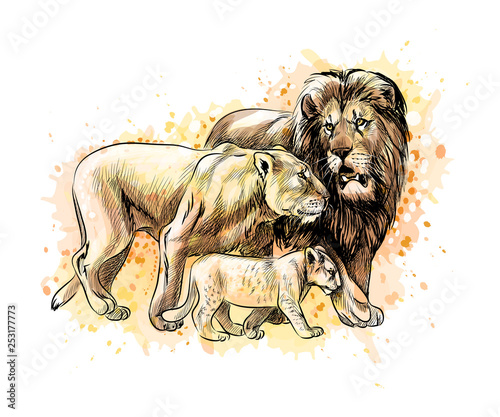 Family of lions from a splash of watercolor photo