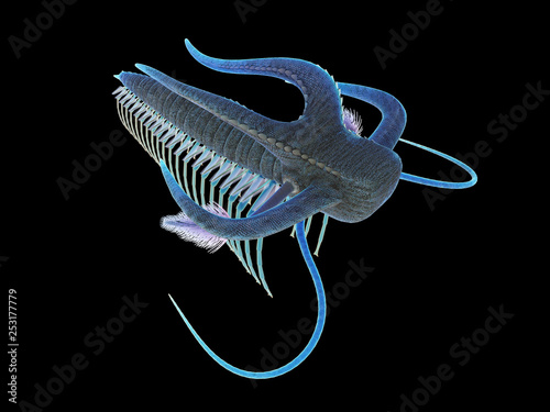 3d rendered illustration of a pre-historic marine creature - marella photo