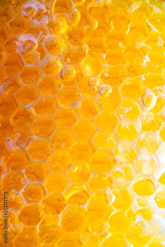 honey in honeycomb close-up background