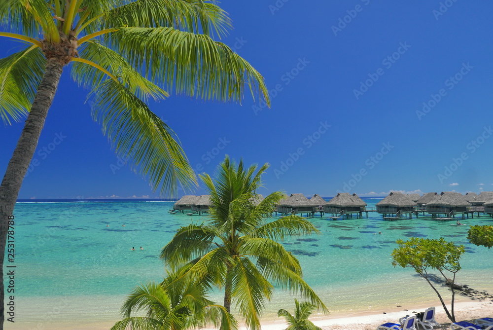 Fototapeta premium laguna moorea
