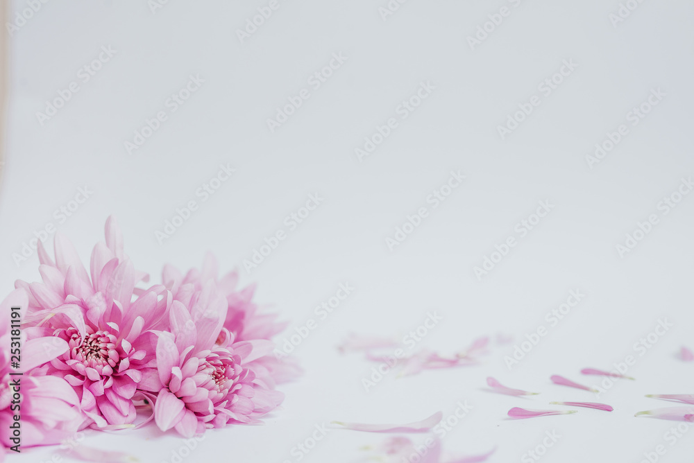 Fototapeta premium abstract floral background with flowers