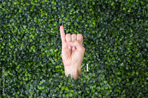 Sign Language Letter made with hand against green plant background