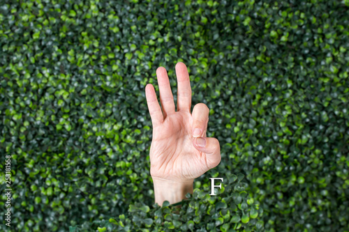 Sign Language Letter F made with hand against green plant background