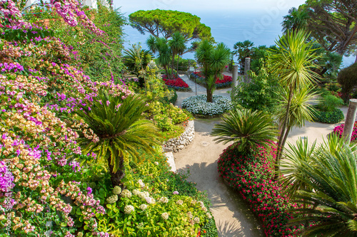 garden in Ravello  Italy
