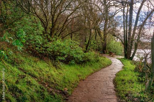 Walking path surrounded by dense plants and a river in Folsom  California hiking trail