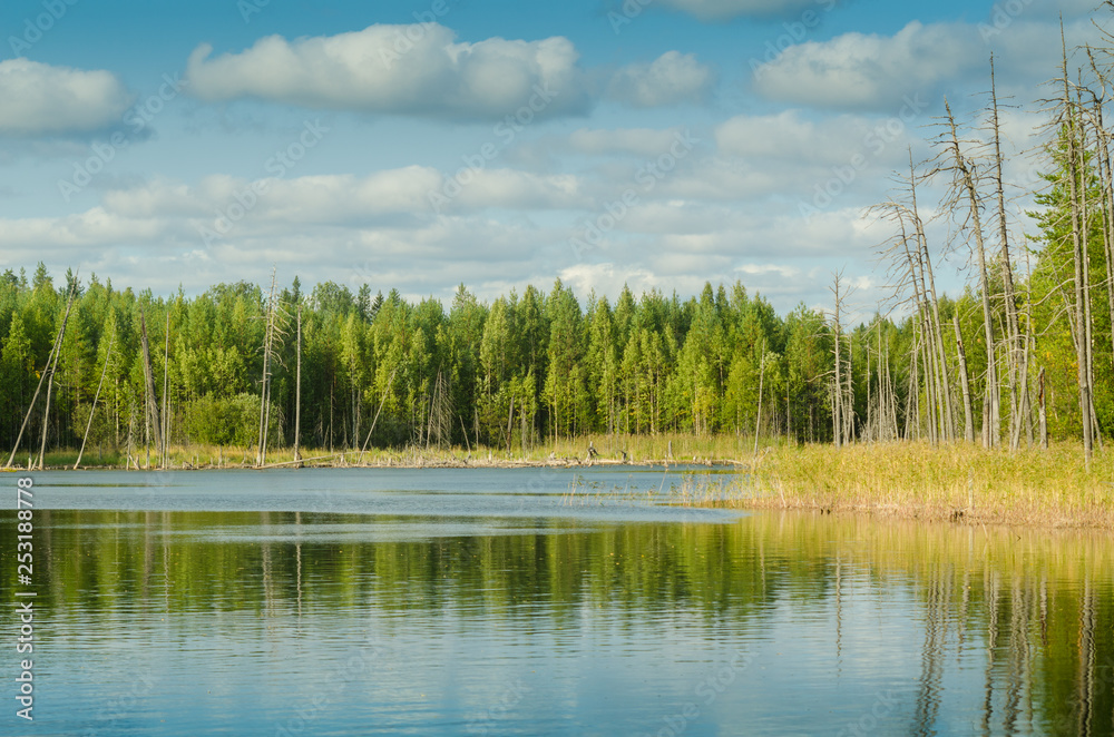 Lake Ket, Russia, Arkhangelsk region, Plesetsk district. August 2018