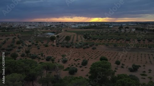 Aerial view of sunset over vineyards, pines and fields a stormy day
