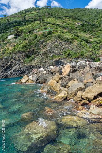 Italy, Cinque Terre, Vernazza, a rocky river with trees on the side of a mountain