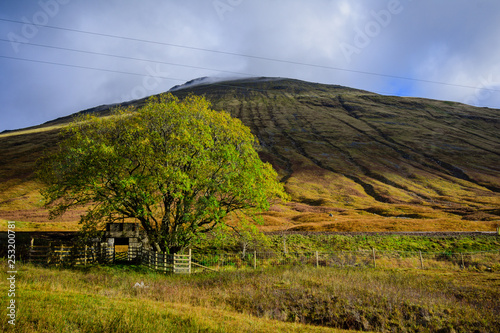 Scottish Highlands