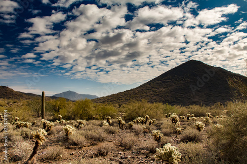 Cave Creek Regional Park