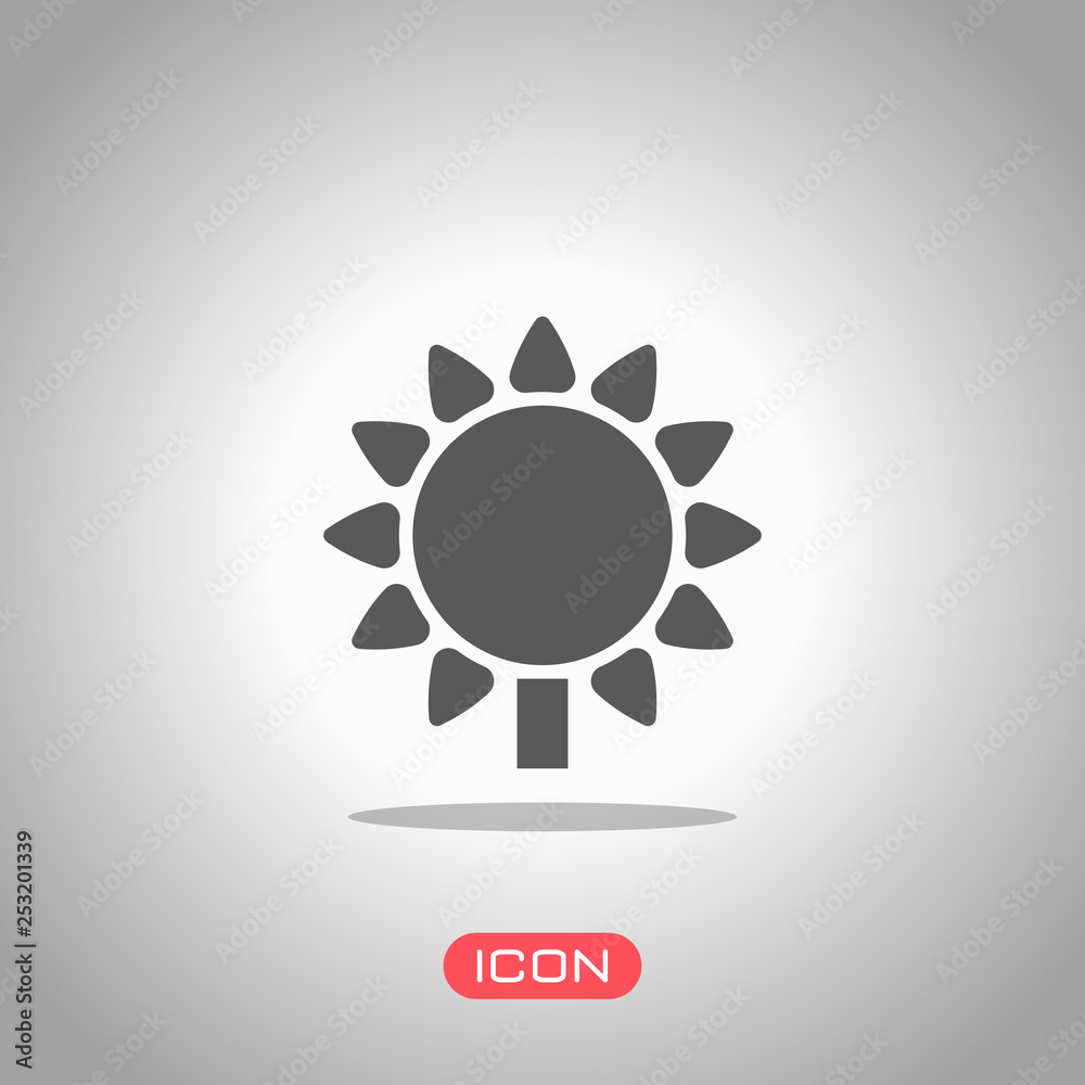 Sunflower, plant. Nature icon. Icon under spotlight. Gray background Sunflower, plant. Nature icon. Icon under spotlight. Gray background