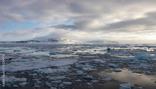 The Wilds of Svalbard in the Arctic