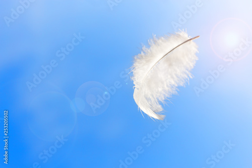 Single white feather float in the air. photo