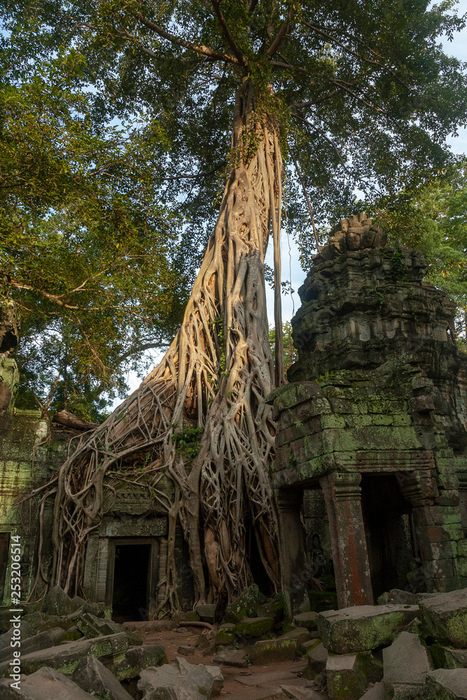 Angkor wat in Cambodia