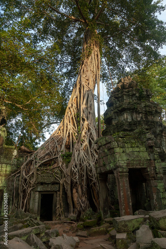 Angkor wat in Cambodia