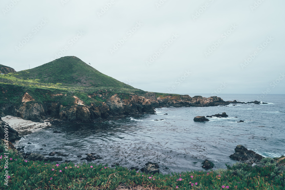 hill mountain island BIG SUR CALIFORNIA USA. Stormy afternoon outdoor nature with sand and fog drifting. green wild with blossom pink flowers on grass near by rocks with waves in pacific ocean sea.