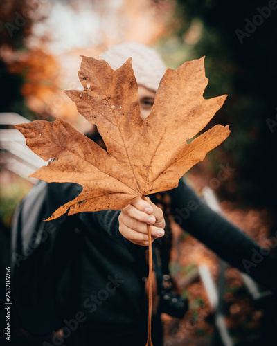 autumn leaf