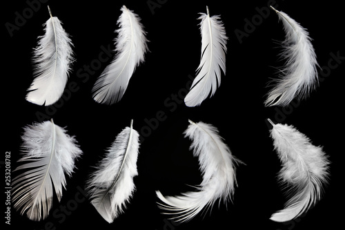 set collection of white feather isolated on black background.