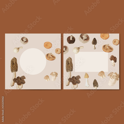 Mushroom design frame set