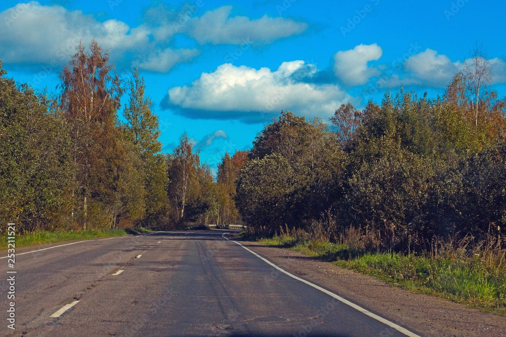 asphalt highway in the forest under a blue sky with clouds