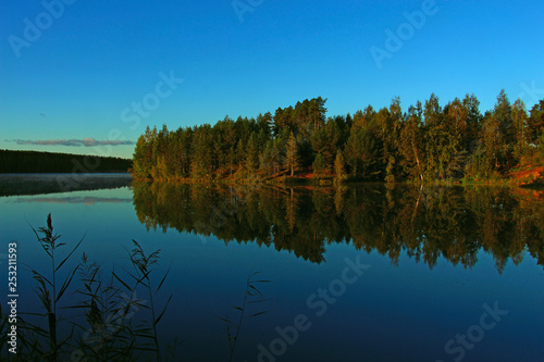 forest on the lake with reflection and fog over the water