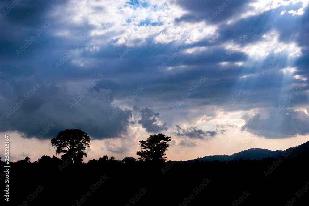 silhouette arbole in plain, sunset sunlight among clouds in central america. Guatemala.