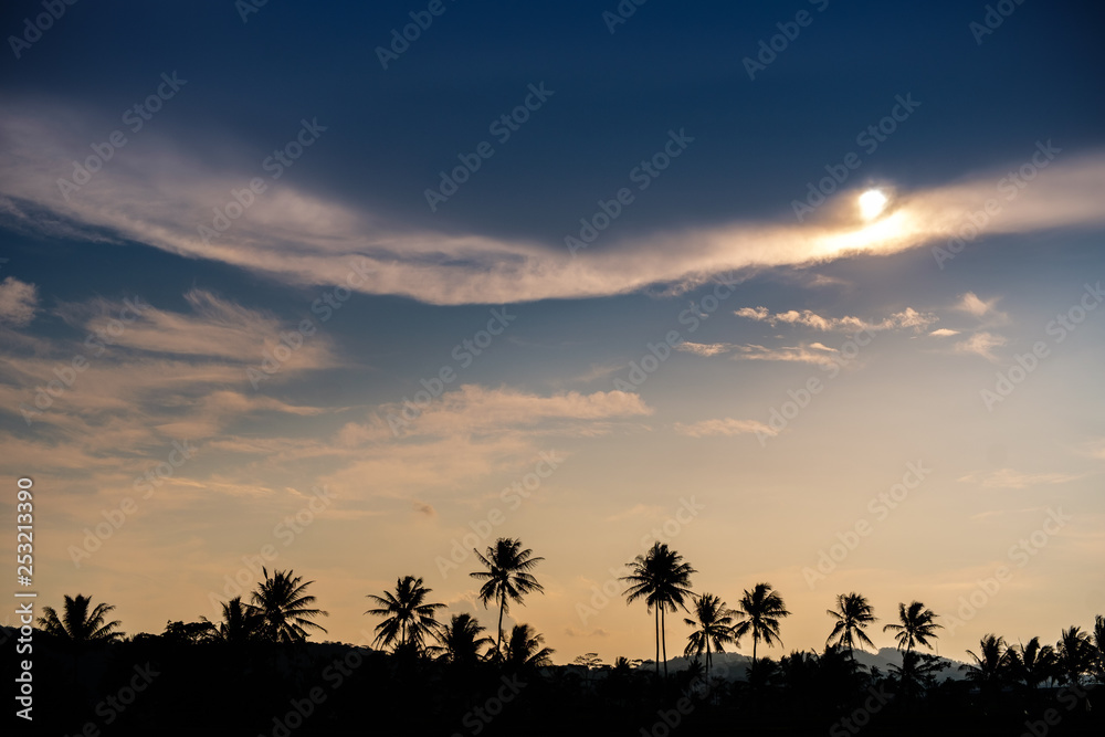 Obraz premium Sunset with a silhouette of rice fields 5