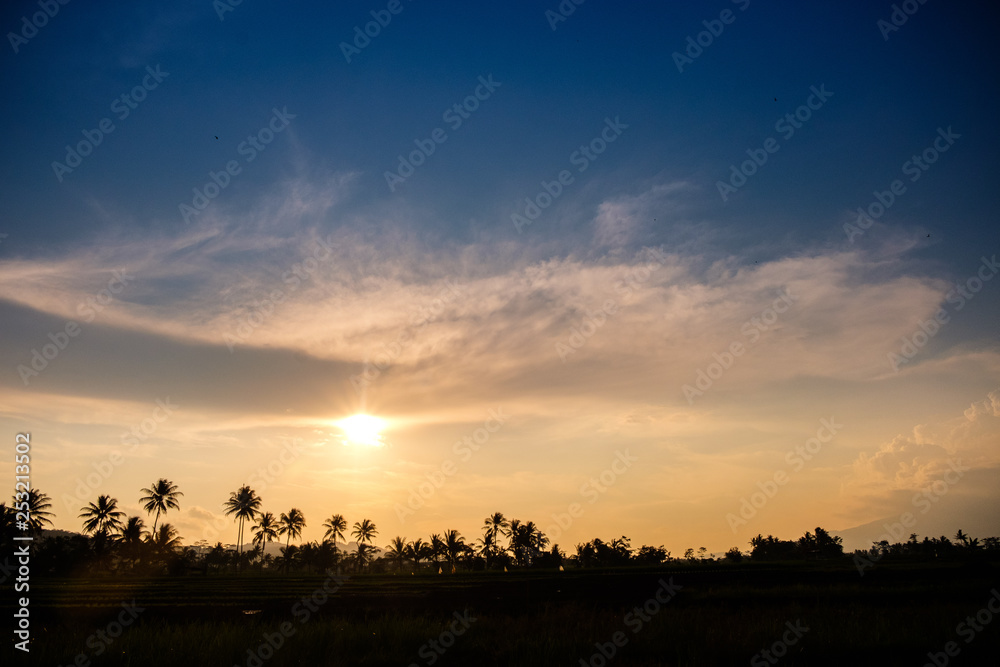 Sunset with a silhouette of rice fields 2