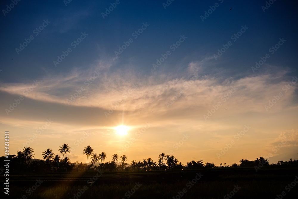 Sunset with a silhouette of rice fields