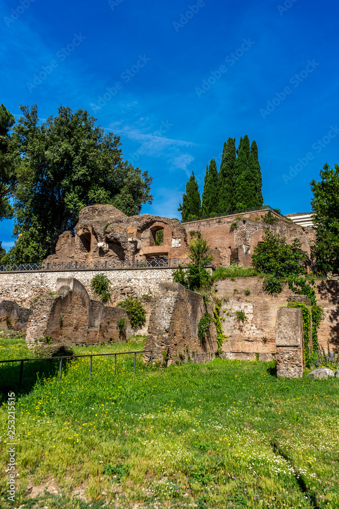 The ancient ruins at the Roman Forum in Rome