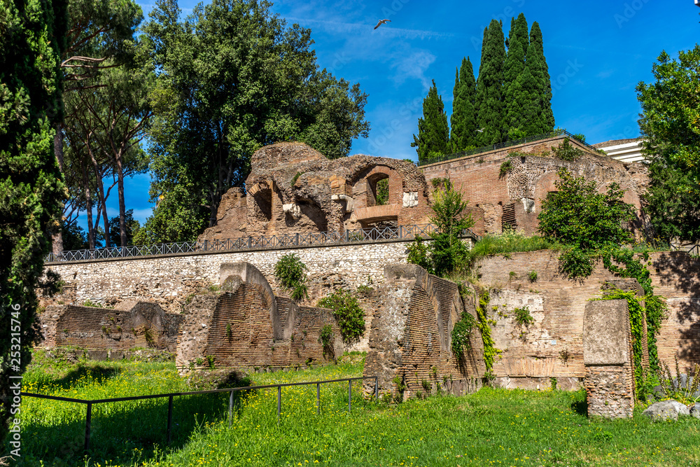 The ancient ruins at the Roman Forum in Rome