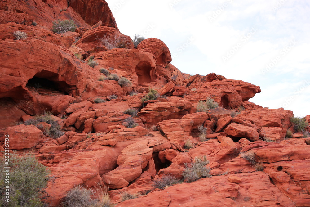 Red rock desert