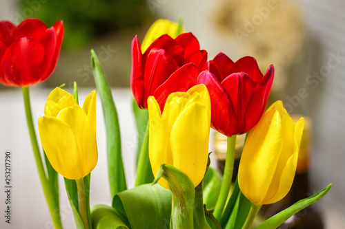 Red and Yellow Cut Tulips