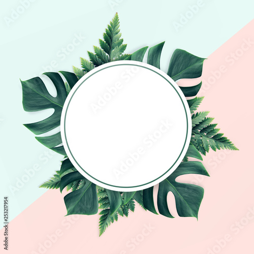 Empty white summer and spring nature on pastel background with green leaves and circle frame for copy space or text creative advertising