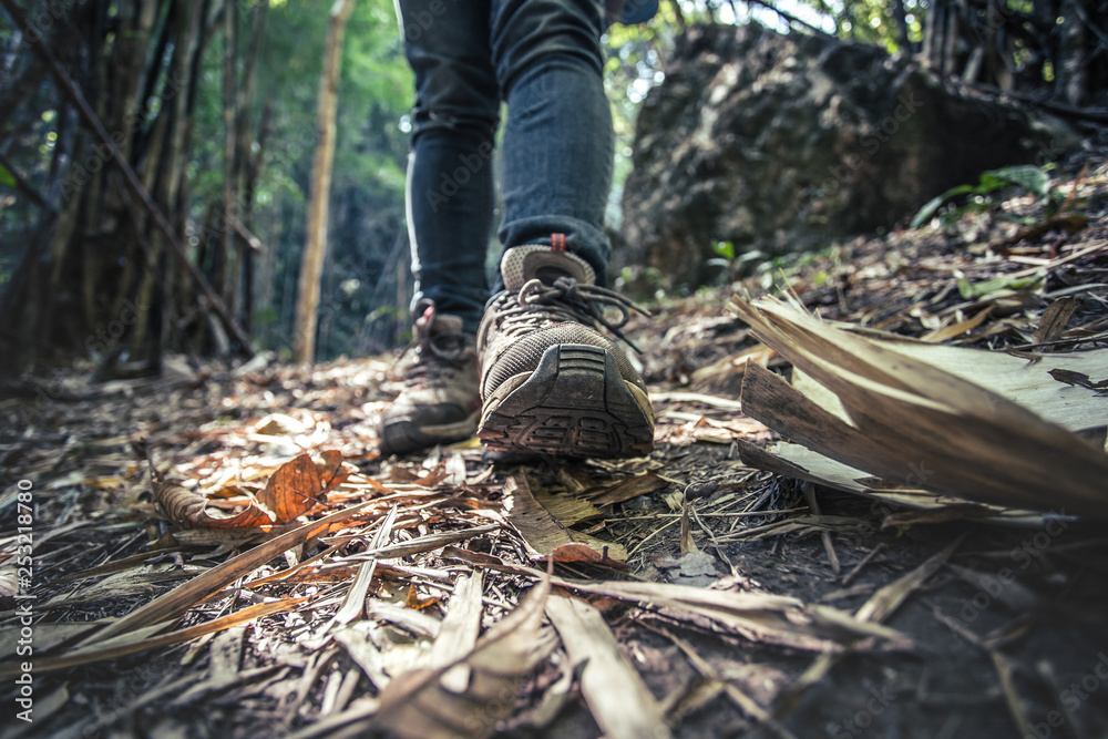Obraz premium Hiking shoes on road in the forest. travel concept.
