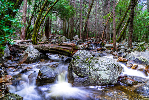 Yosemite River 