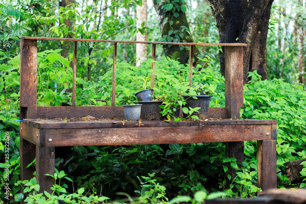 Naklejka premium bench in the garden