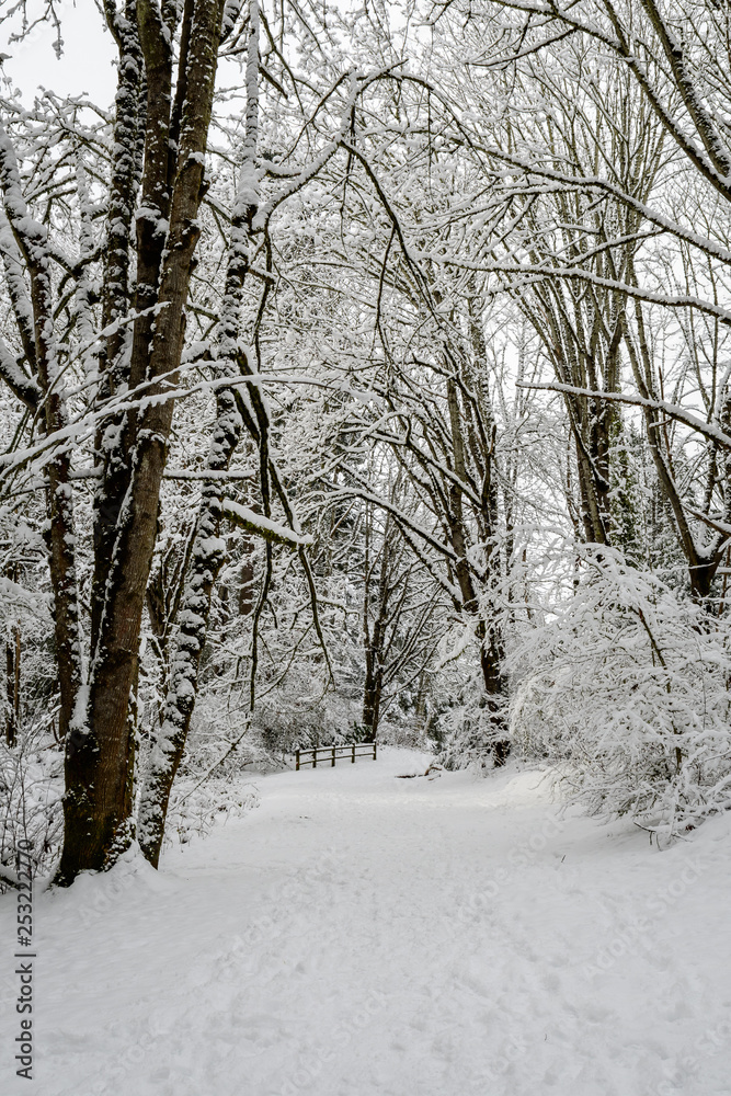 Snow covered path in a wooded winter landscape, footprints in the snow Snow covered path in a wooded winter landscape, footprints in the snow