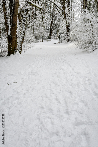 Snow covered path in a wooded winter landscape, footprints in the snow