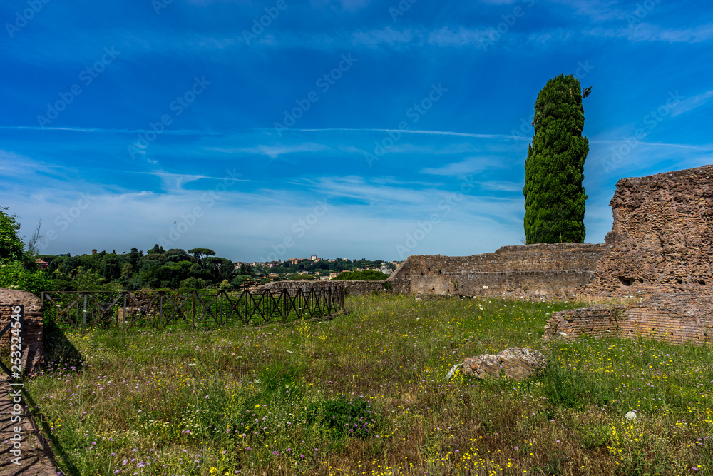 Italy, Rome, Roman Forum, a large green field with trees in the background