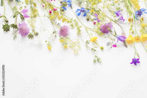 summer flowers on white paper background