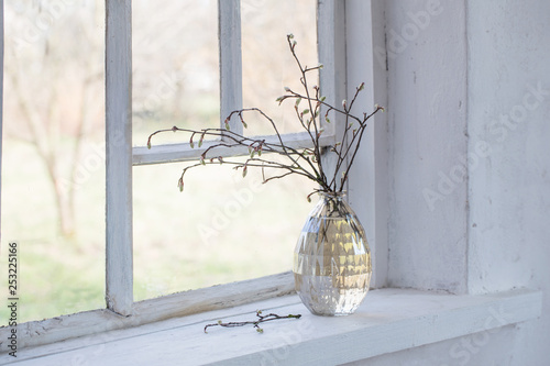 spring branches in vase  on windowsill © Maya Kruchancova