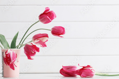 pink tulips in vase on white wooden background
