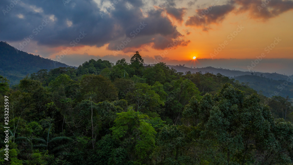 Aerial top view of fresh green jungle forest slope of the mountain hills at warm yellow orange cloudy sunset