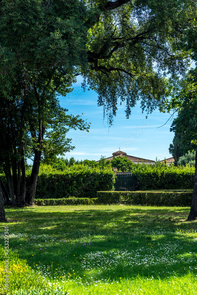 Italy, Rome, Roman Forum, trees on green grass