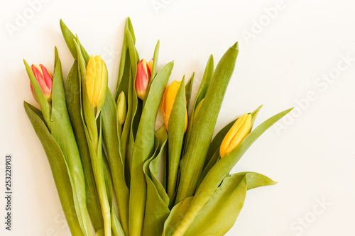 Bunch of Spring tulip flowers. Flat lay. Waiting for spring. Happy Easter card. Top view. Flower Tulip .Spring or summer background with copy space for text. Flowers composition. Floral pattern.