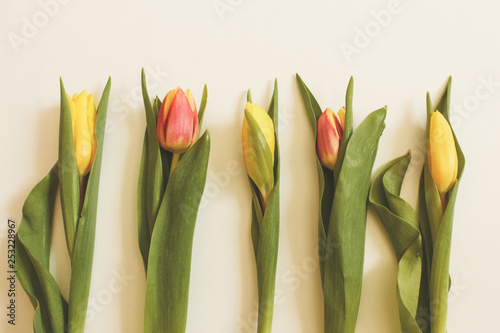 Bunch of Spring tulip flowers. Flat lay. Waiting for spring. Happy Easter card. Top view. Flower Tulip .Spring or summer background with copy space for text. Flowers composition. Floral pattern.